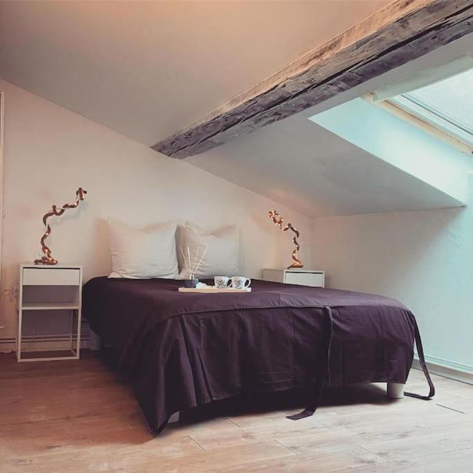 Nancy Appartement En Triplex Plein Centre Екстериор снимка